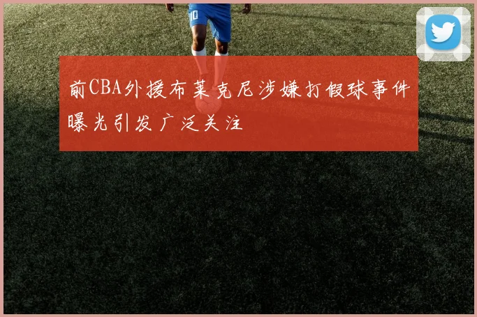 前CBA外援布莱克尼涉嫌打假球事件曝光引发广泛关注