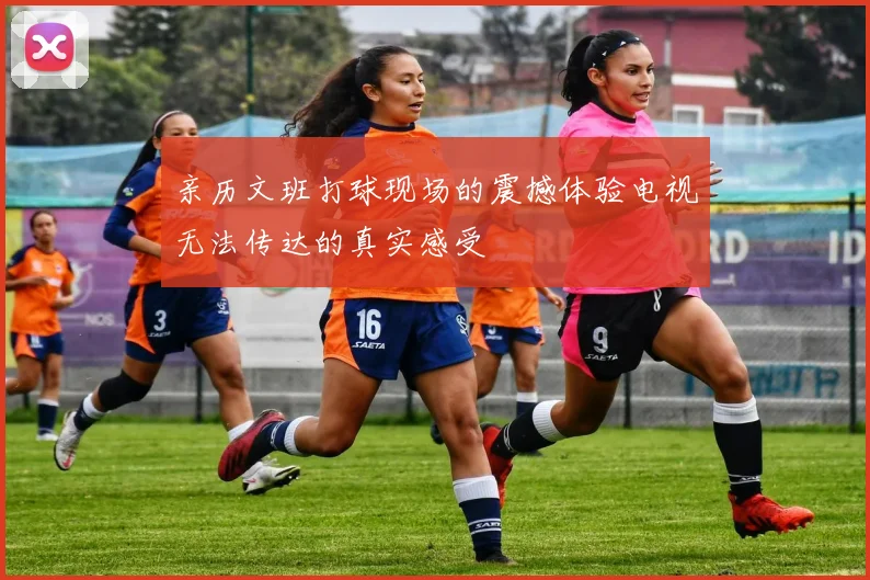 亲历文班打球现场的震撼体验电视无法传达的真实感受
