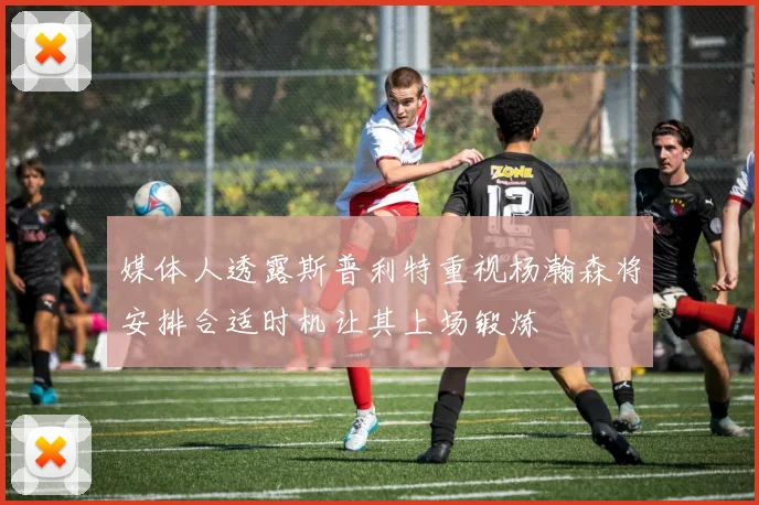 媒体人透露斯普利特重视杨瀚森将安排合适时机让其上场锻炼