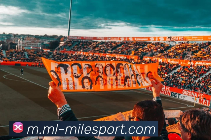 米乐足球APP 封面图